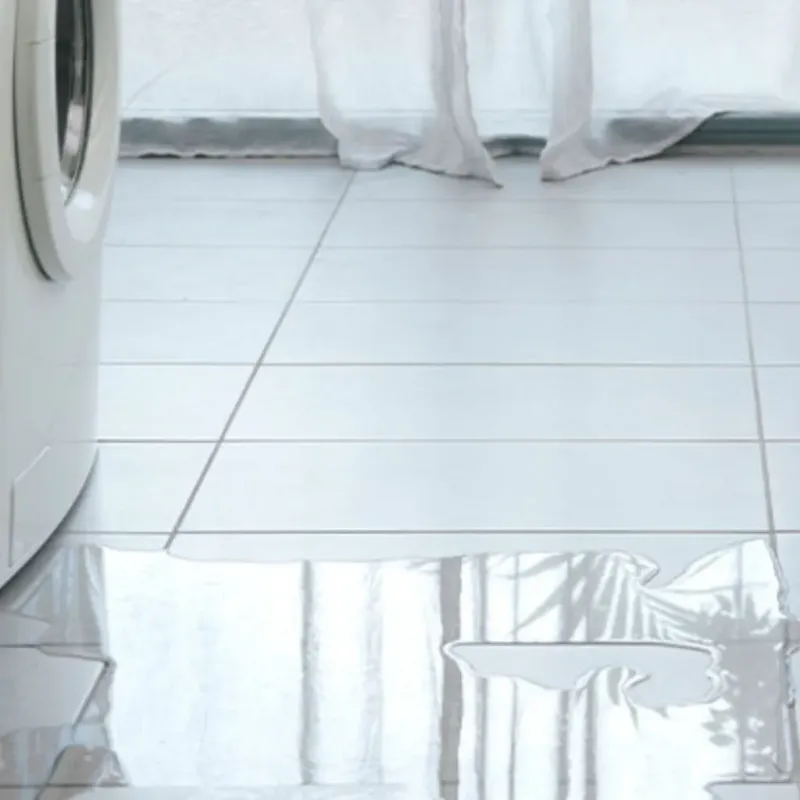 Appliance Leak Cleanup in Saint Paris, OH