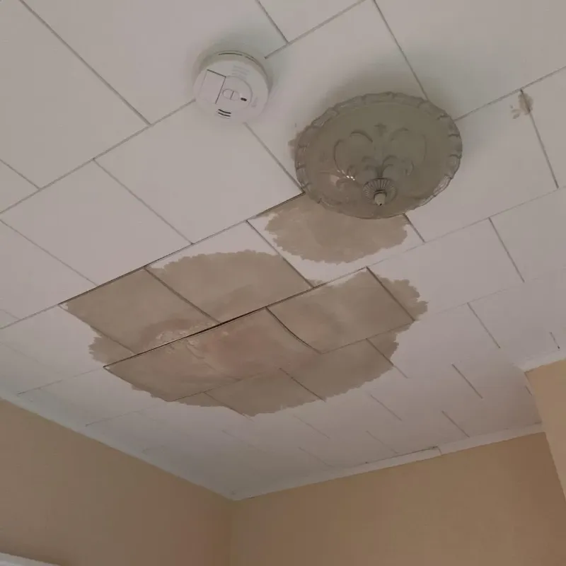 Ceiling Water Damage Repair in Saint Paris, OH