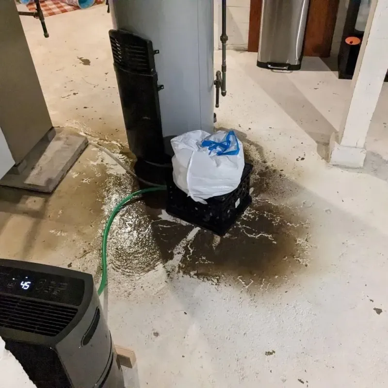 Sewage Backup Cleanup Service in Saint Paris, OH